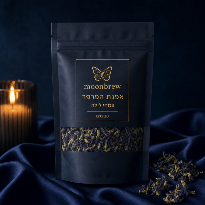 צמחי הלילה